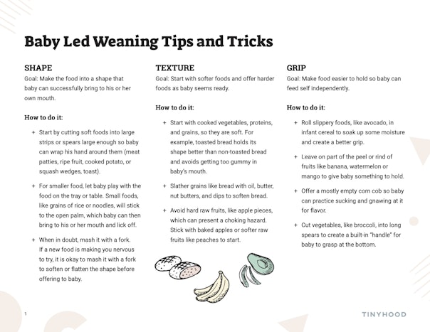 Baby-Led Weaning Tips and Tricks Preview Image