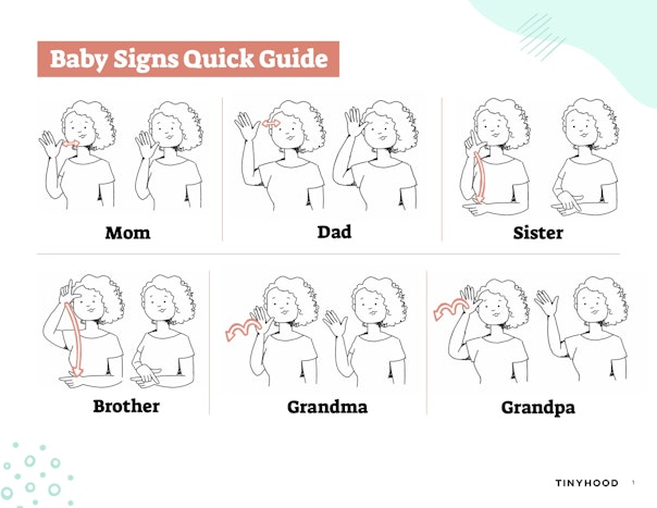 Baby Signs Quick Guide Preview Image