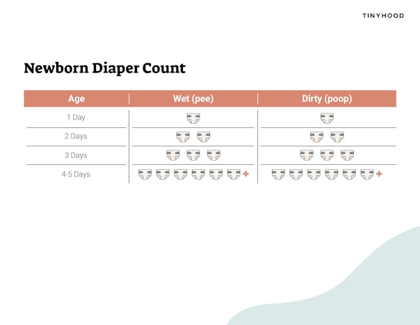 Newborn Diaper Count Preview Image