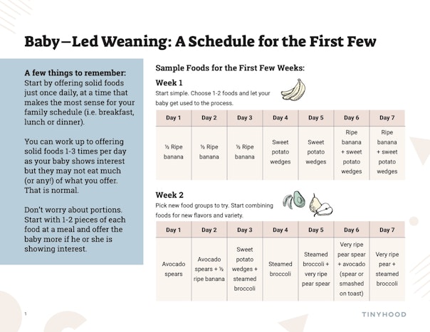 Feeding Schedule for the First Few Weeks of BLW Preview Image