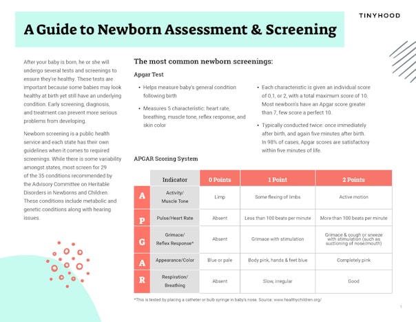 A Guide to Newborn Assessment & Screening Preview Image