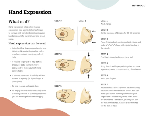 A Guide to Hand Expression Preview Image