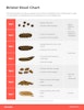 Bristol Stool Chart Preview Image