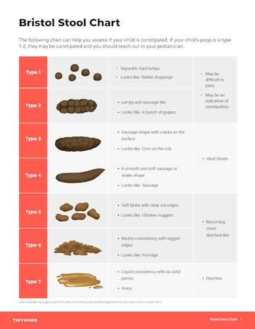 Bristol Stool Chart Preview Image