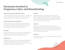 Pregnancy, Labor, and Breastfeeding Hormones Preview Image
