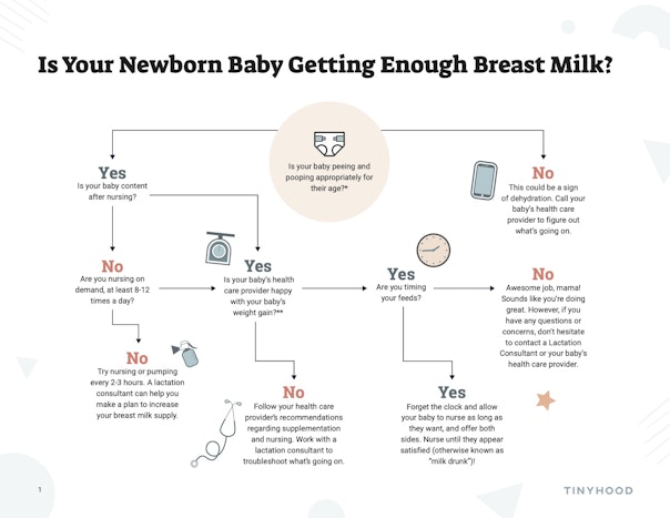 How to Tell if your Baby is Getting Enough Breast Milk Flow Chart Preview Image