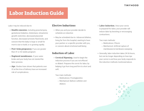 Understanding the Induction Process Preview Image