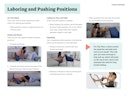 Laboring Positions Preview Image
