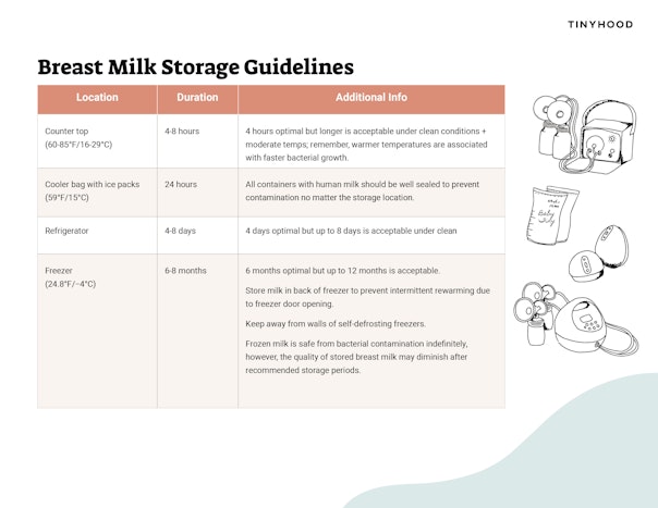 Breast Milk Storage Guidelines Preview Image
