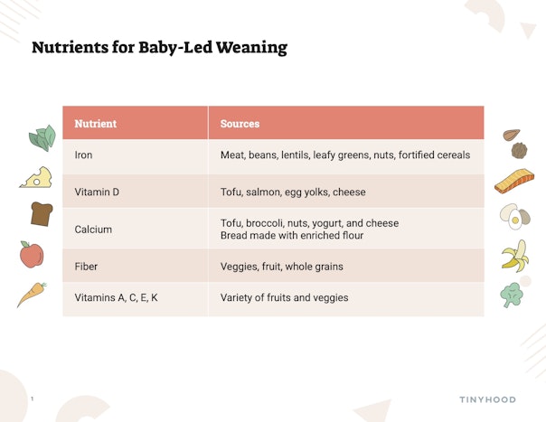 Nutrient Needs for Baby-Led Weaning Babies Preview Image