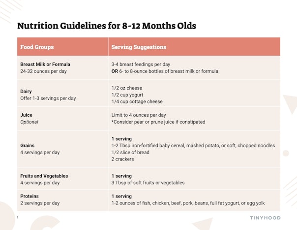 Nutrition Guidelines for 8-12 Month Olds Preview Image
