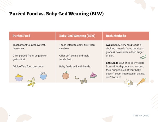 Pureed Food vs. Baby-Led Weaning Preview Image