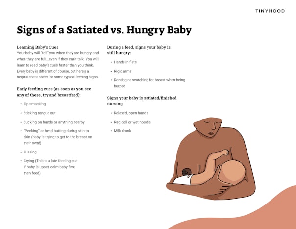 Signs of a Satiated vs Hungry Baby Preview Image