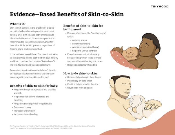 Evidence-Based Benefits of Skin-to-Skin Preview Image