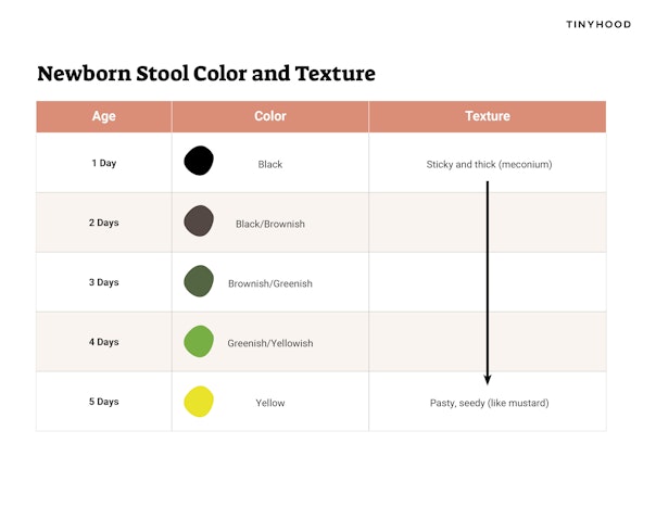 Newborn Stool Color Chart Preview Image
