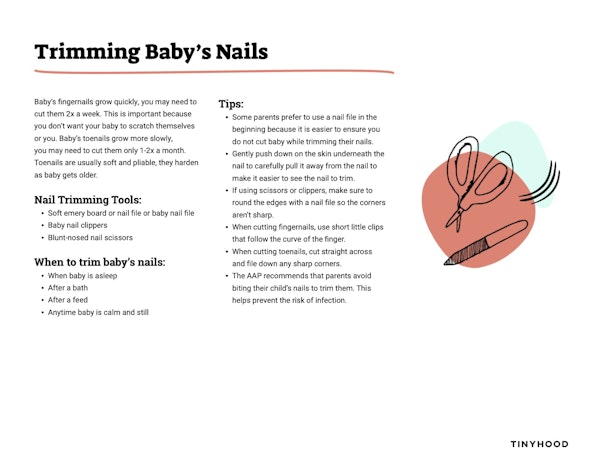 Trimming Baby's Nails Preview Image