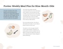 Weekly Meal Plan for 9 Month Olds Preview Image