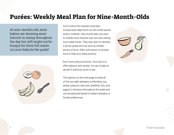 Weekly Meal Plan for 9 Month Olds Preview Image
