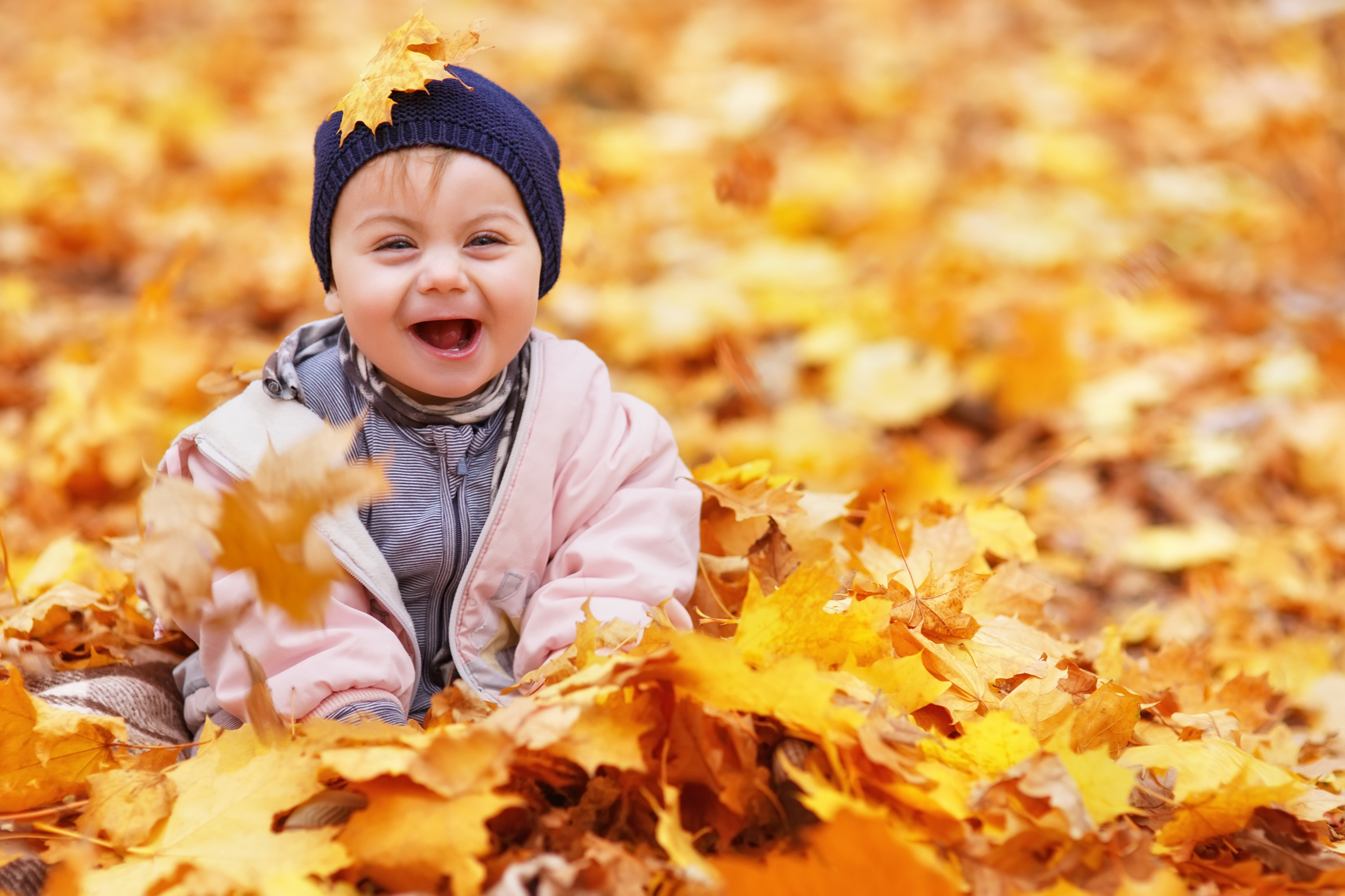 Child playing in the fall leaves 