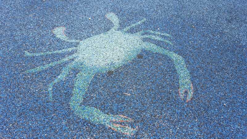 SE Baltimore Families