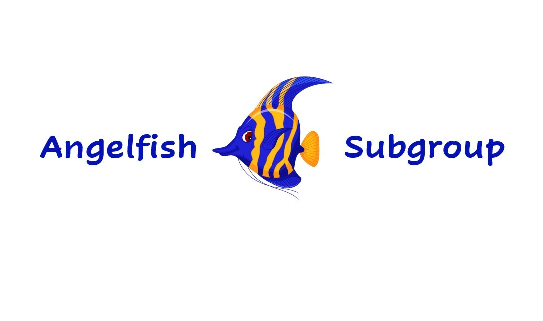 Angelfish: Children born September 2015 - August 2016