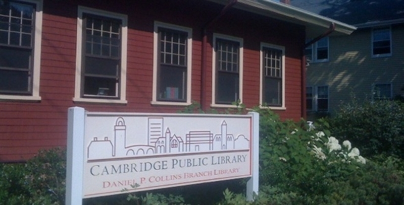 Cambridge visual data 3